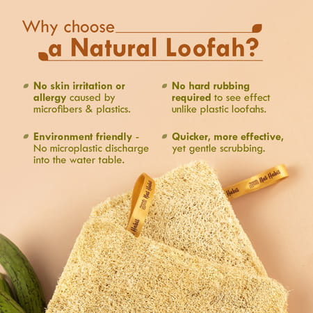 Nat Habit Natural Sun Dried Bath Loofah Sustainable Handmade Pack Of 2