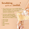 Nat Habit Natural Sun Dried Bath Loofah Sustainable Handmade Pack Of 2