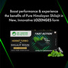 Dr. Vaidya's Herbo24turbo Shilajit Resin Lozenges (Pastilles) | Mint Flavour | 30N (Pack Of 2)