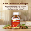 Baidyanath Ayurved Ashwagandha Tablets 60S | General Wellness Support