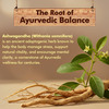 Baidyanath Ayurved Ashwagandha Tablets 60S | General Wellness Support
