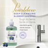 Pearldew Deep Cleansing Blueberry Hand Wash 500 Ml | Neem & Tulsi (Pack Of 1)