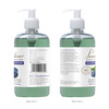 Pearldew Deep Cleansing Blueberry Hand Wash 500 Ml | Neem & Tulsi (Pack Of 1)
