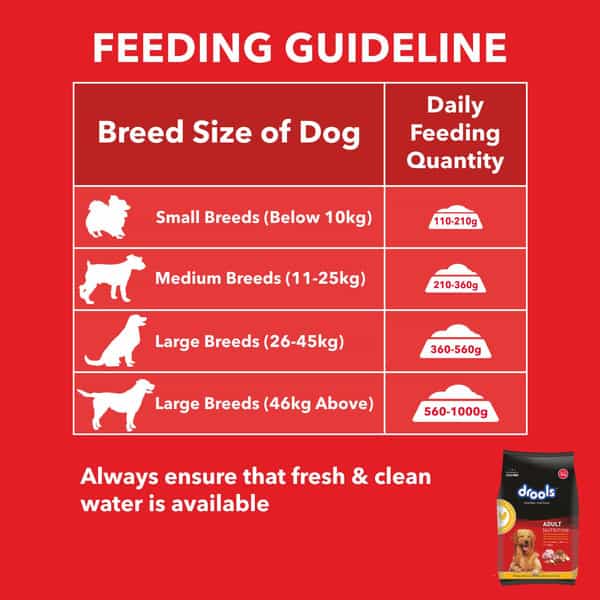 Drools Adult Dry Dog Food Chicken And Egg | 3Kg With Free 1.2Kg | Total 4.2 Kg Pack