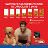 Drools Adult Dry Dog Food Chicken And Egg | 3Kg With Free 1.2Kg | Total 4.2 Kg Pack