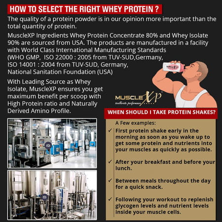 Musclexp 100% Whey Protein (New Whey Gold Standards) - 2kg (4.4 Lbs) Double Chocolate