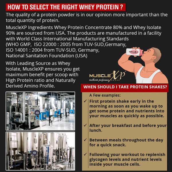 Musclexp 100% Whey Protein (New Whey Gold Standards) - 2Kg (4.4 Lbs) Double Chocolate