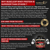 Musclexp 100% Whey Protein (New Whey Gold Standards) - 2Kg (4.4 Lbs) Double Chocolate
