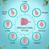 Floren Reusable Menstrual Cup For Women With Pouch |Fda Approved( Tiny ) - Pack Of 2