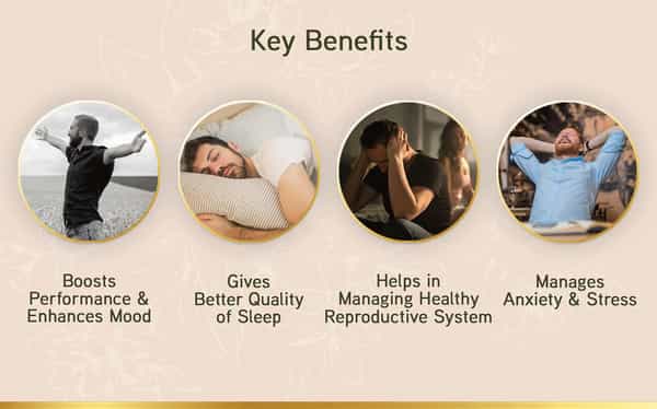 Lyef Reignite Passion (Ayurveda Supplements For Men | Ayurveda Supplements 100% Vegan)