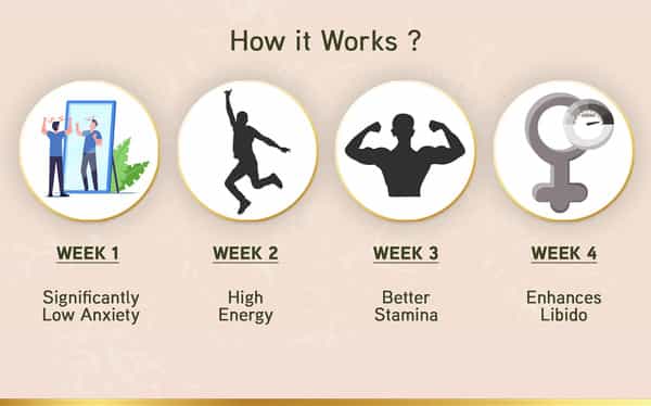 Lyef Reignite Passion (Ayurveda Supplements For Men | Ayurveda Supplements 100% Vegan)