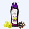 Ayur Herbals Amla & Shikakai Shampoo With Reetha I Stop Hair Fall I Long & Strong Hair | 1000Ml