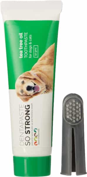 Orange Pet Nutrition Tea Tree Oil Dental Care Dentapaste For Dogs & Cats 50Gm Toothpaste With Brush