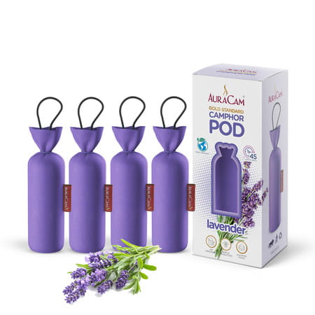 Auracam Gold Standard Camphor Pod Cone (Lavender) - Set Of 4