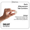 Bold Care Shilajit Effervescent Tablets For Natural Stamina Support - 20 Tablets