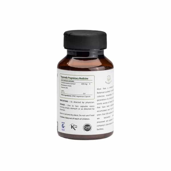 Bixa Botanical Gotu Kola Extract 60 Veg Capsules(450Mg) 30% Saponins-Supports Healthy Brain Function