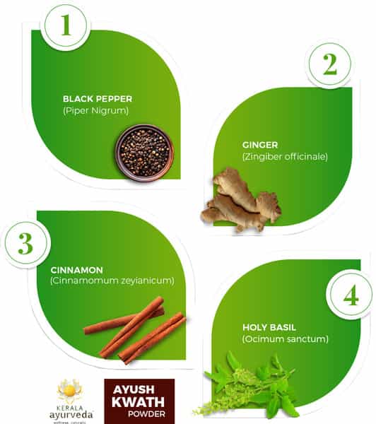 Kerala Ayurveda Ayush Kwath Powder -100G