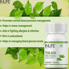 Inlife Tulsi (Tulasi) Natural Immunity Booster & Respiratory Wellness Adults 500mg 60 Capsules