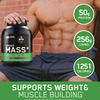 Optimum Nutrition (On) Serious Mass High Weight Gain Powder - 6.6 Lbs 3 Kg (Chocolate)