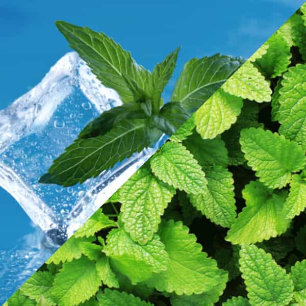 Staycool Breath Freshener Spray - Cool Mint Spearmint - Pack Of 2