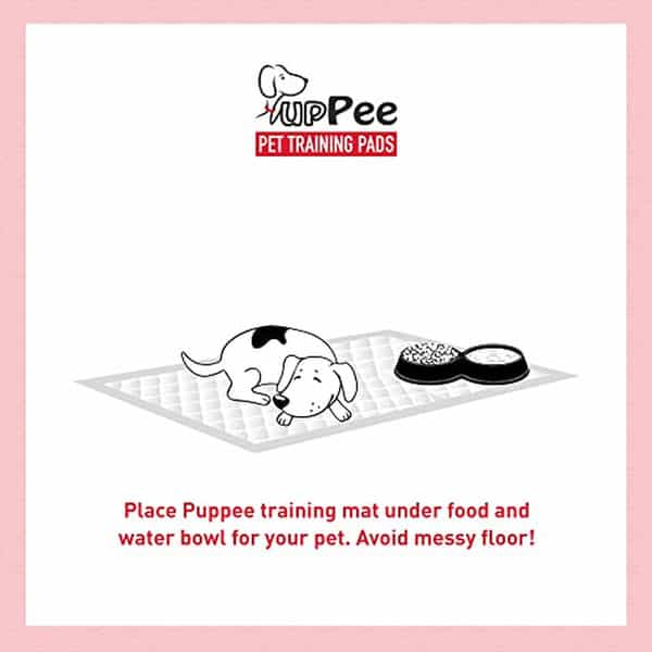 Puppee Pet Training Pad Large (Underpad) 60 X 90 Cm 30 Pcs Per Packet Pack Of 1