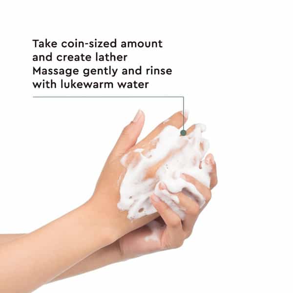 The Face Shop Tea Tree Pore Clarifying Gel Cleanser
