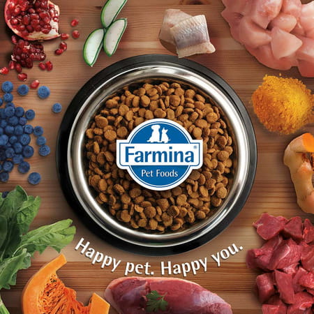 Farmina N&D Ocean Dry Cat Food | Adult | Grain-Free | 5-Kg | Herring And Orange