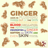 Ningen Ginger Hair Shampoo Witch Hazel Lemongrass Stimulates Hair Growth - 300g