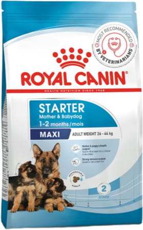 Royal Canin Maxi Starter Mother & Babydog Food | 2.5 Kg | Dry Food
