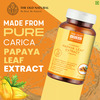 The Old Natural Papaya Leaf Extract Tablets 30 Tablets I Carica Papaya Tulsi Giloy & Sadabahar