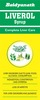 Baidyanath Liverol Syrup Bottle Of 450 Ml