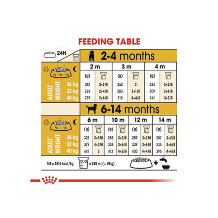 Royal Canin Labrador Retriever Puppy Food | 3 Kg | Dry Food