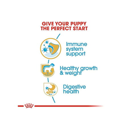 Royal Canin Labrador Retriever Puppy Food | 3 Kg | Dry Food