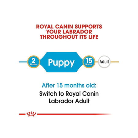 Royal Canin Labrador Retriever Puppy Food | 3 Kg | Dry Food