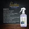 Pearldew Sanitizer Spray (Blueberry) 500 Ml | Aloe & Neem | Paraben Free (Pack Of 1)
