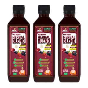 Jeena Sikho Mix Berry Herbal Blend Juice | Antioxidant-rich Berry Juice - 500 Ml (pack Of 3)