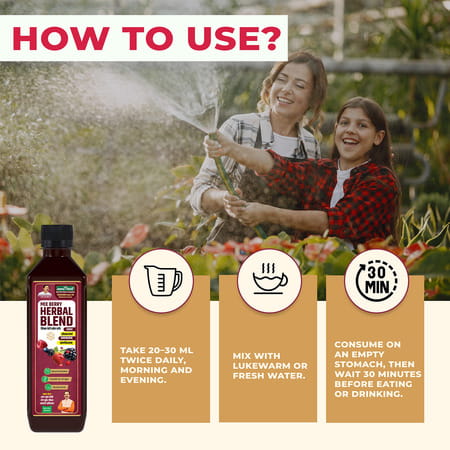 Jeena Sikho Mix Berry Herbal Blend Juice | Antioxidant-Rich Berry Juice - 500 Ml (Pack Of 3)
