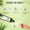 Jeena Sikho Aloe Amla Energiser - 750Ml (Pack Of 3)