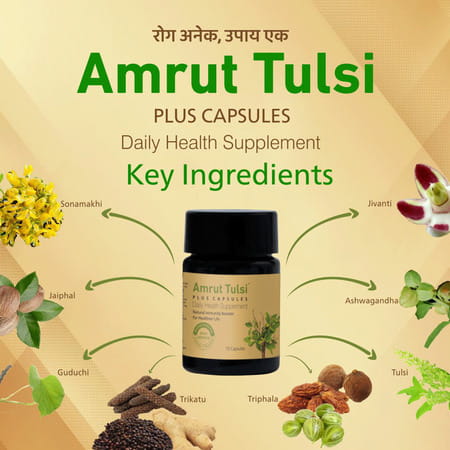 Amrut Tulsi Plus Capsules 10 Capsules (Pack Of 1)