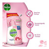 Dettol Skincare Ph Balanced Handwash 750Ml