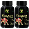 Fij Ayurveda Power Shilajit/Shilajeet Extract Capsule | Unisex - 500Mg 60 Capsules (Shilajit Pk 2)