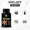 Fij Ayurveda Power Shilajit/Shilajeet Extract Capsule | Unisex - 500Mg 60 Capsules (Shilajit Pk 2)