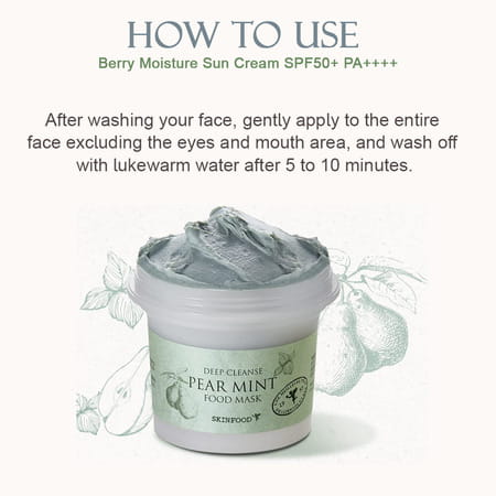 Skinfood Pear Mint Food Mask - Korean Face Cleanser - Korean Skincare - 120g