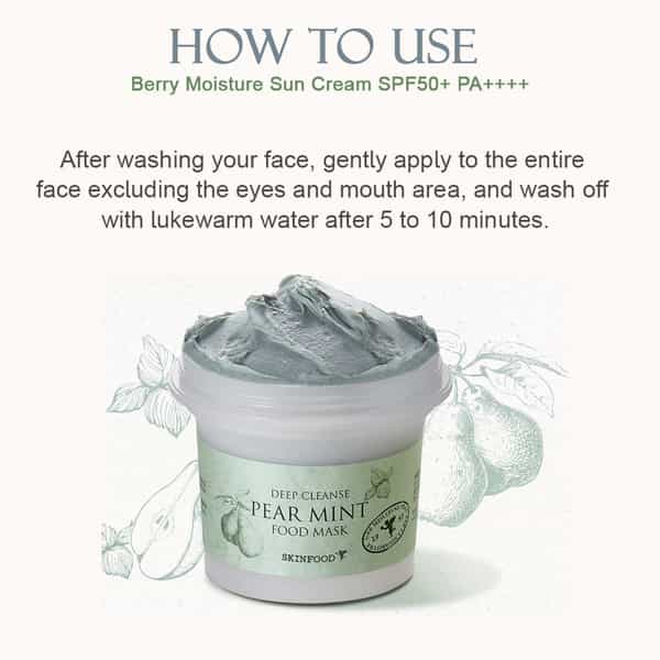 Skinfood Pear Mint Food Mask - Korean Face Cleanser - Korean Skincare - 120G