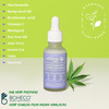 Natural Vibes Acne & Dark Spot Corrector Face Serum | Hyaluronic Acid | Vitamin C & Niacinamide 30Ml