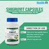Healthvit Pure Herbs Shigruvit Shigru Powder 250 Mg Pain Relief Capsules (Pack Of 2) Bottle Of 60