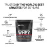 Optimum Nutrition (On) Performance Whey | Chocolate Milkshake Flavour | Powder | Packet | 500 Gm