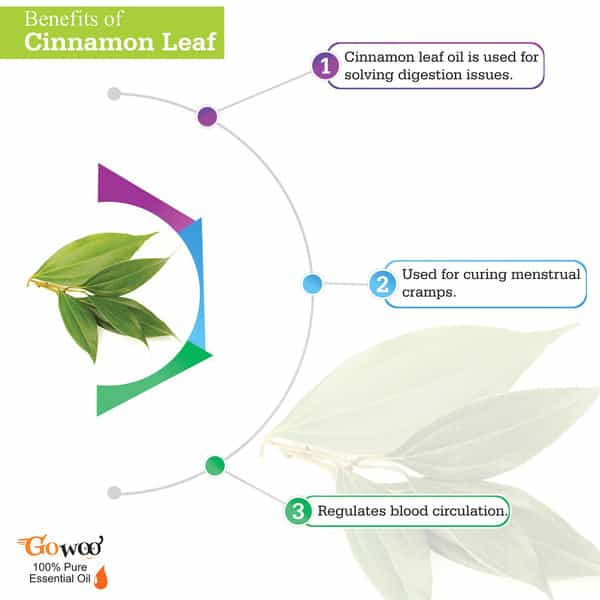 Go Woo 100% Pure Cinnamon Leaf Oil Virgin & Undiluted 30 Ml
