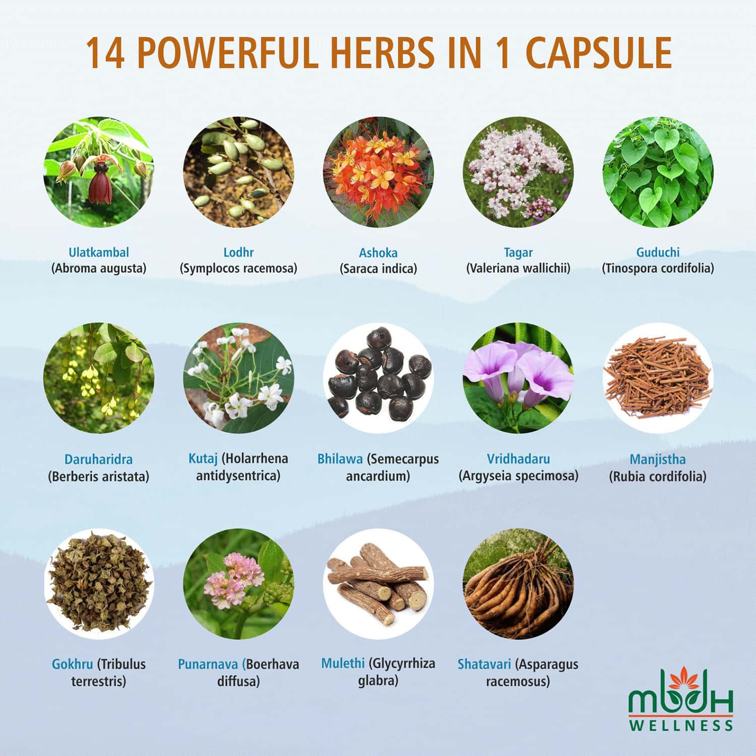 Buy MBDHWELLNESS MIREMBANATURAL TREATMENT FOR PCOD & PCOS REGULATING