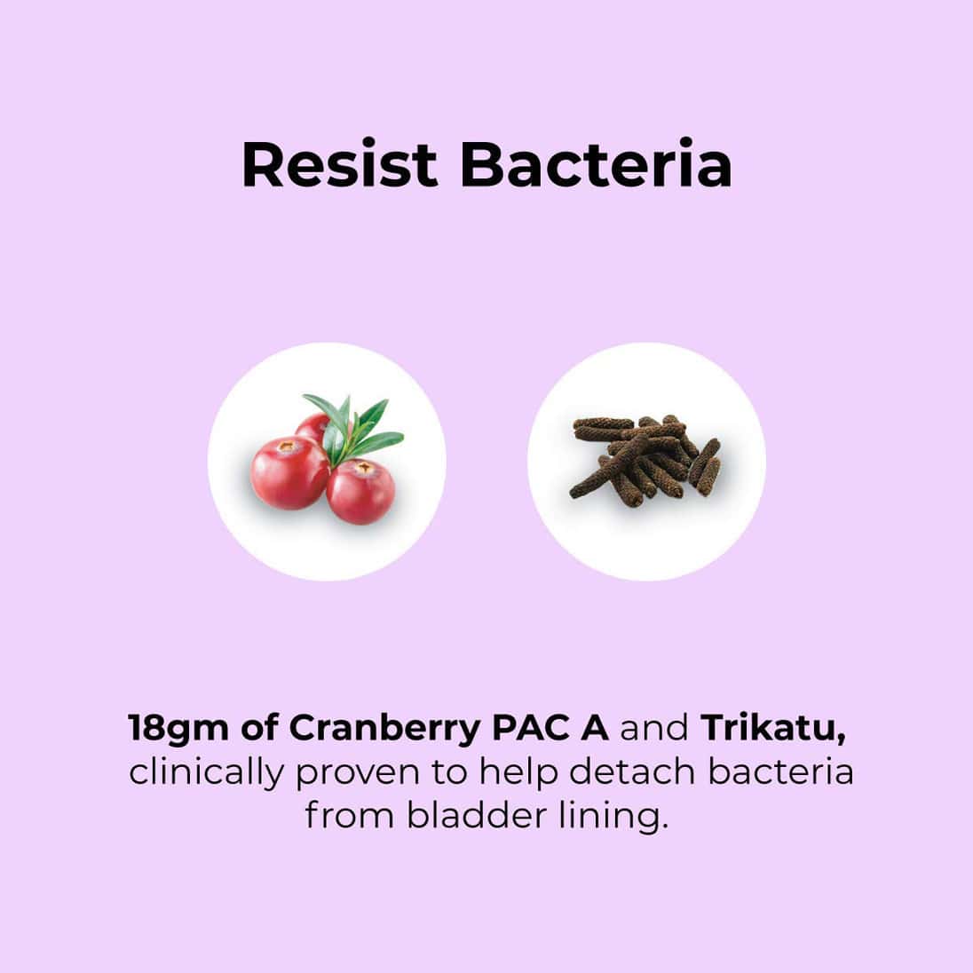 Buy &ME MIXED BERRIES GINGER HERBAL DRINK FOR UTI WITH NO ADDED SUGAR